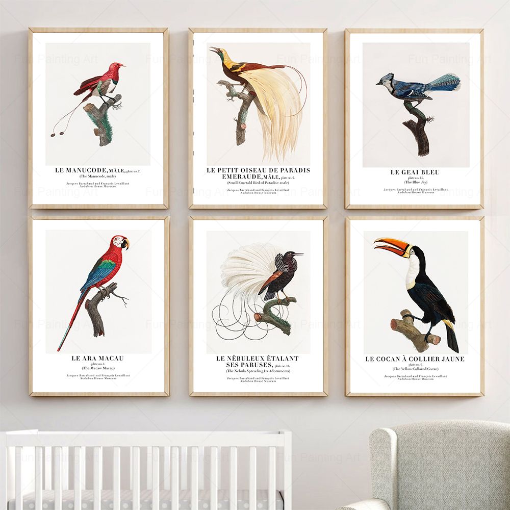 Vintage Paradise Bird Wall Art – Furniture Paradise & Hardware Ghaziabad recenzja i cena