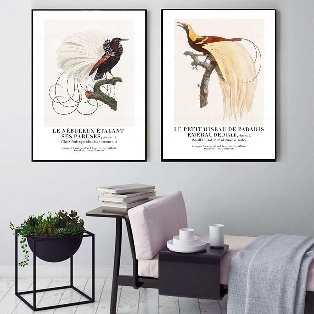 Vintage Paradise Bird Wall Art – Furniture Paradise & Hardware Ghaziabad recenzja i cena