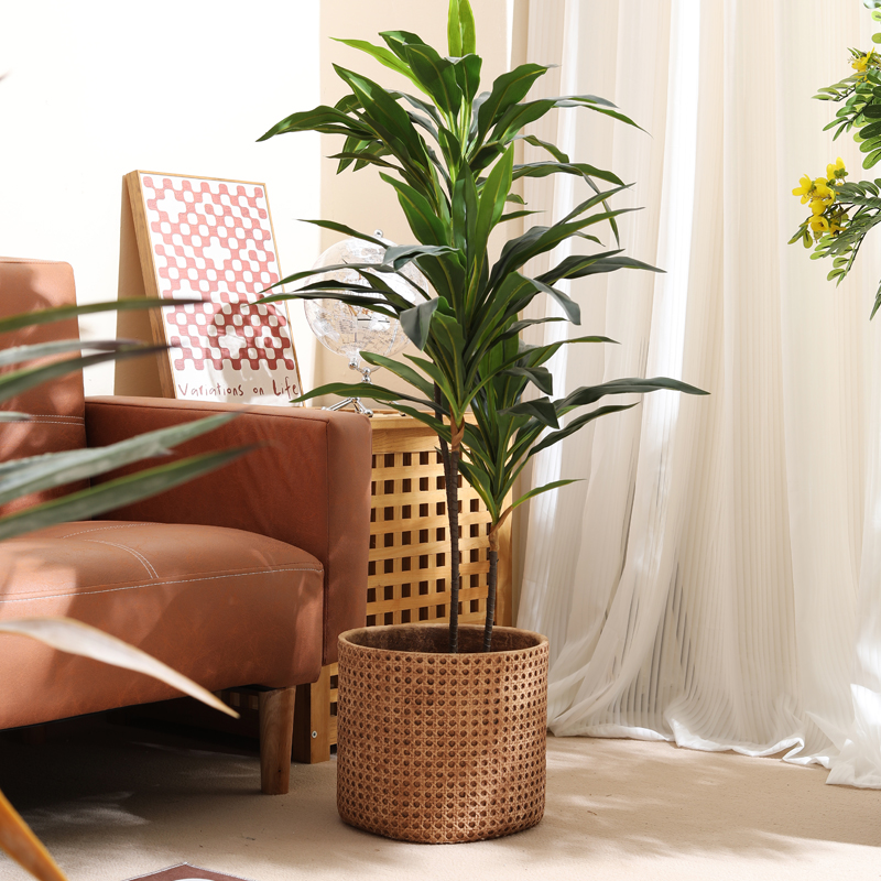 Meble do małych mieszkań, doni – Furniture Paradise & Hardware Ghaziabad recenzja i cena